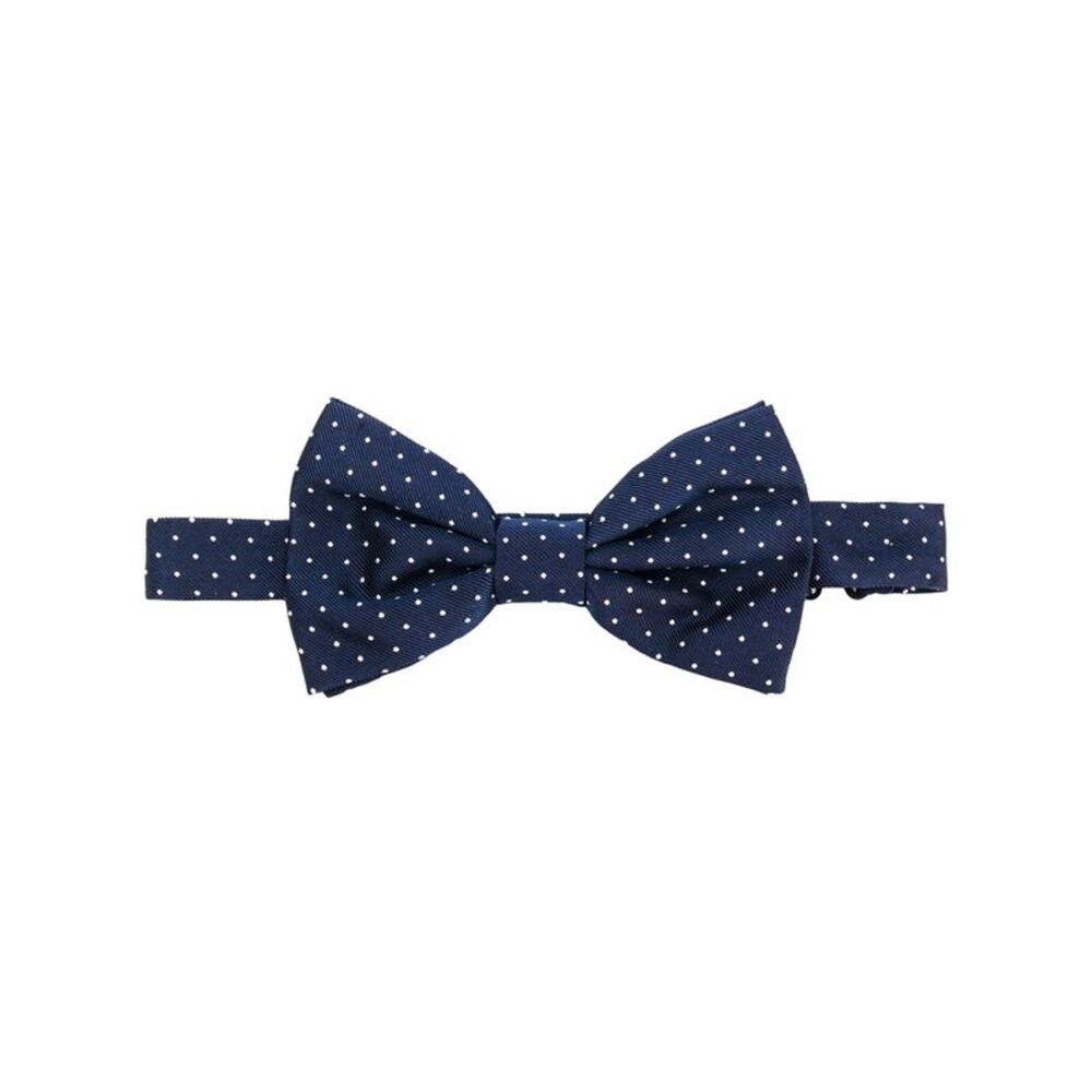 Lady Anne Blue Ties & Bow Ties Men